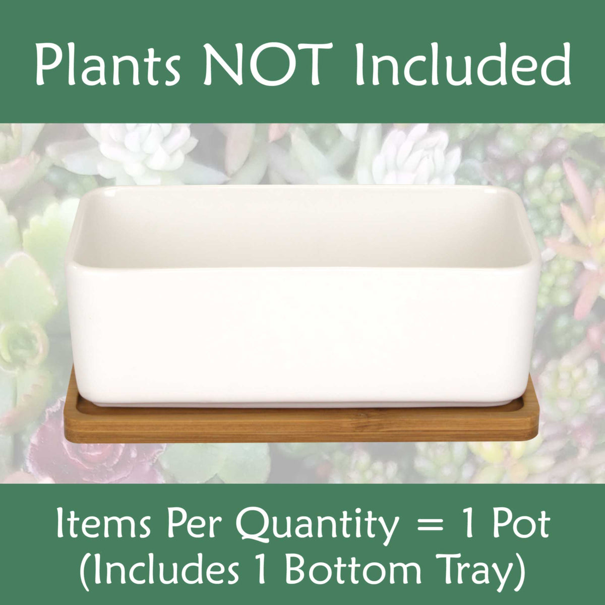 plant pot tray rectangular Rectangle Succulent Plant Pots with Tray