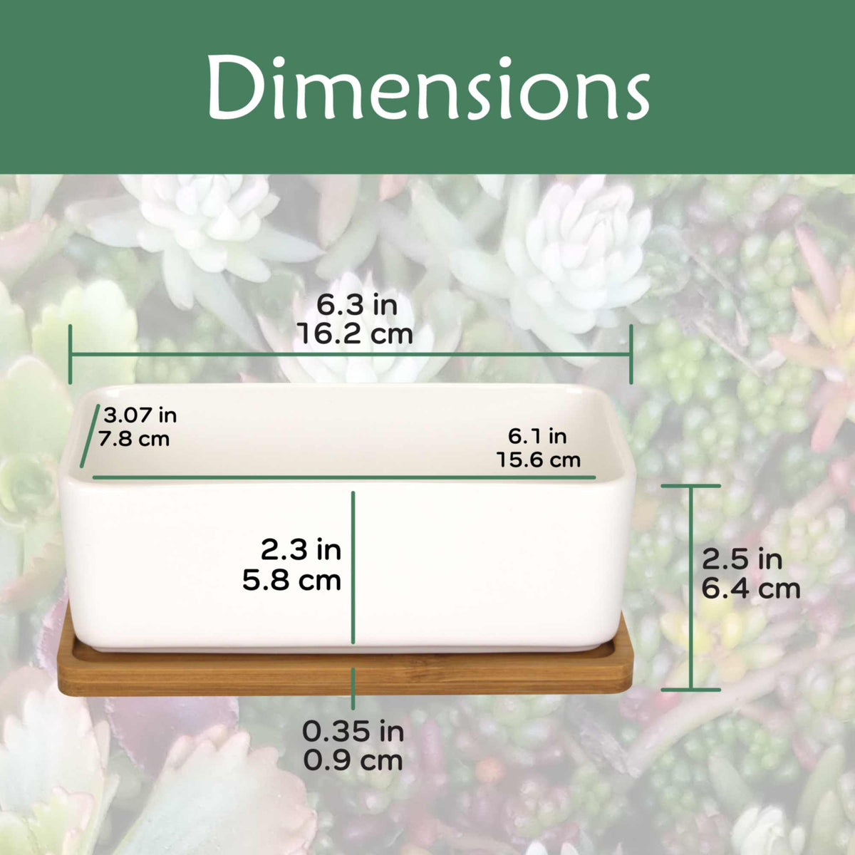 rectangular succulent planter with tray Rectangle Succulent Plant Pots with Tray