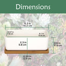 Rectangle Succulent Plant Pots with Tray