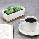 Rectangle Succulent Plant Pots with Tray