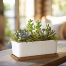 Rectangle Succulent Plant Pots with Tray