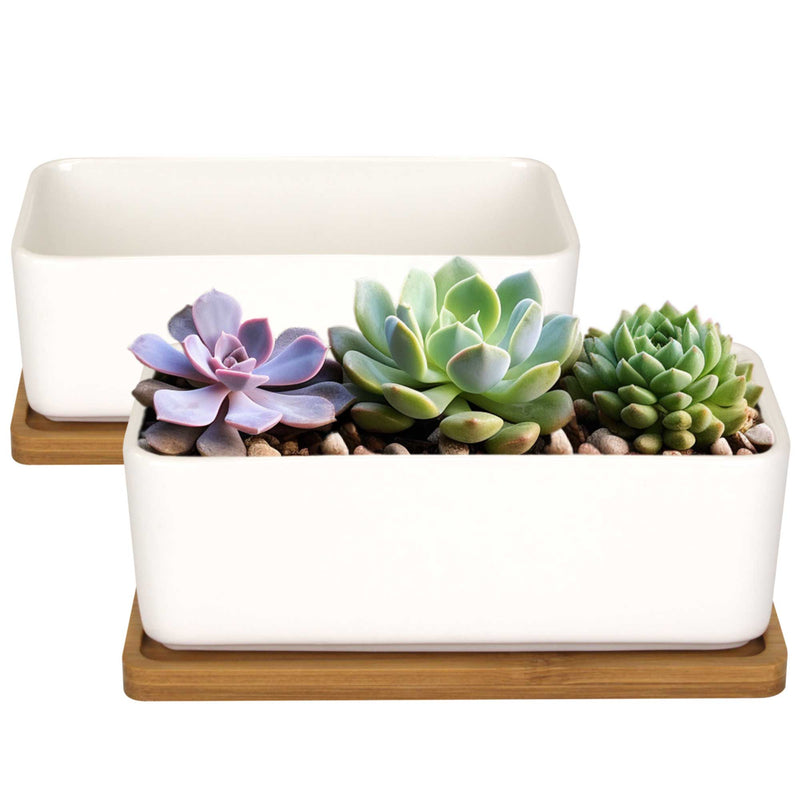 rectangular indoor pots for plants Rectangle Succulent Plant Pots with Tray