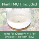 Small Round Succulent Pot with Tray