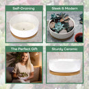 Small Round Succulent Pot with Tray