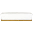 Small Long Rectangular Succulent and Small Plant Pot