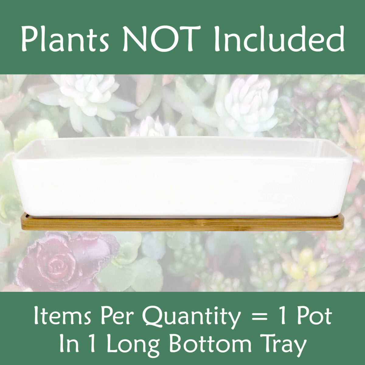 long rectangle plant pot Small Long Rectangular Succulent and Small Plant Pot