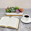 Small Long Rectangular Succulent and Small Plant Pot