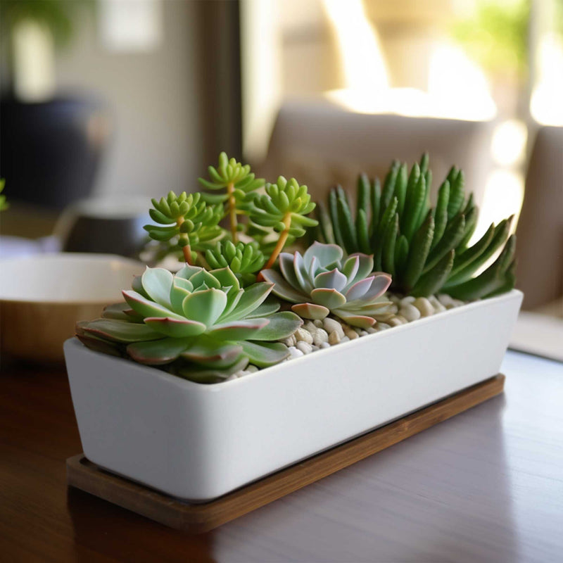 rectangle succulent planter Small Long Rectangular Succulent and Small Plant Pot
