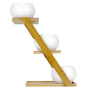 Decorative Succulent Pot Display Set