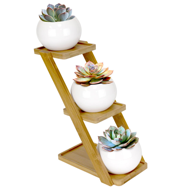 Decorative Succulent Pot Display Set