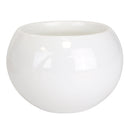 Decorative Succulent Pot Display Set