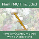 Decorative Succulent Pot Display Set