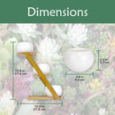 Decorative Succulent Pot Display Set