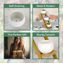 Decorative Succulent Pot Display Set