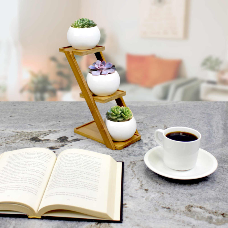 succulent plant pot set Decorative Succulent Pot Display Set