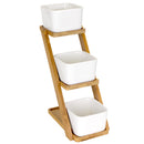 Succulent Pot Plant Display Set