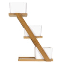 Succulent Pot Plant Display Set