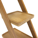 Succulent Pot Plant Display Set