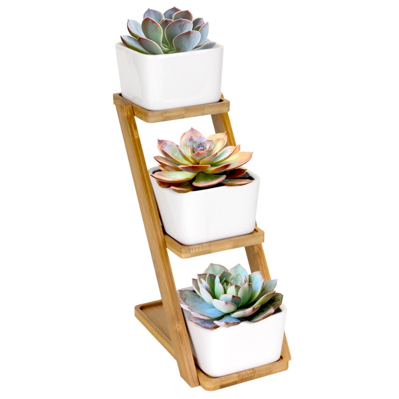 tiered succulent pot Succulent Pot Plant Display Set