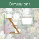 Succulent Pot Plant Display Set