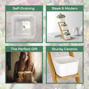 Succulent Pot Plant Display Set