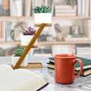 Succulent Pot Plant Display Set