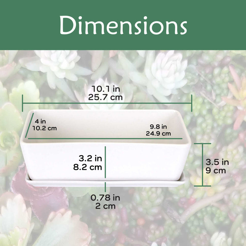 rectangular white planter succulent Small White Rectangular Succulent Plant Pot