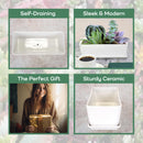 Small White Rectangular Succulent Plant Pot