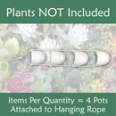Succulent Hanging Pot Display Set