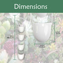 Succulent Hanging Pot Display Set