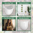 Succulent Pots - 3 Buckets & Ropes