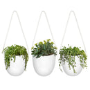 Succulent Pots - 3 Buckets & Ropes