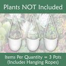 Succulent Pots - 3 Buckets & Ropes