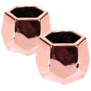 Small Plant Succulent Pots