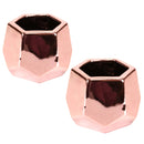 Small Plant Succulent Pots