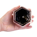 Small Plant Succulent Pots