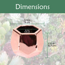 Small Plant Succulent Pots