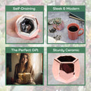 Small Plant Succulent Pots