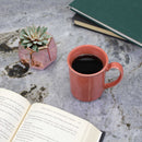 Small Plant Succulent Pots