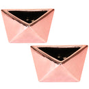 Geometric Shaped Succulent Pots