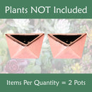 Geometric Shaped Succulent Pots