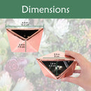 Geometric Shaped Succulent Pots