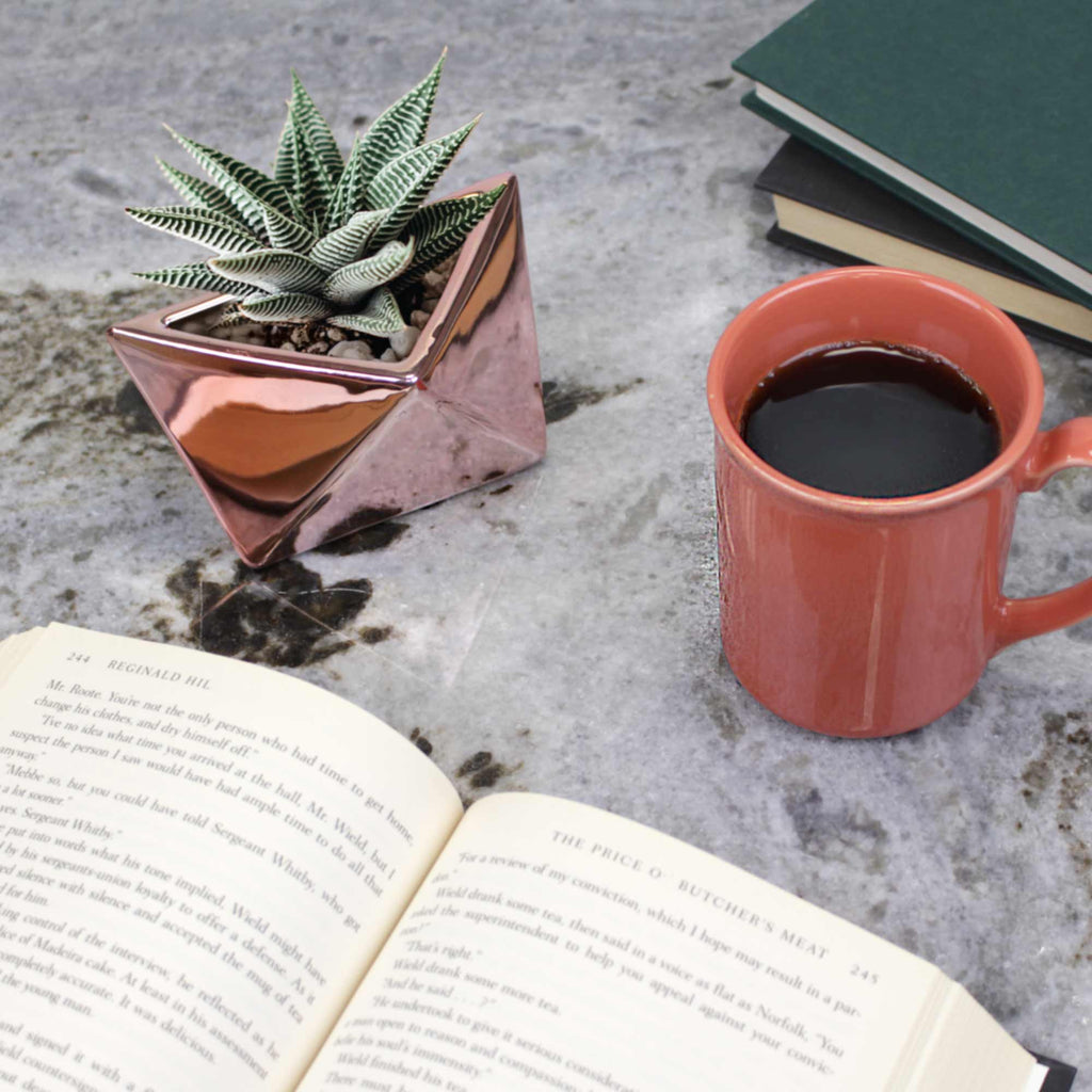 geometric succulent pot Geometric Shaped Succulent Pots