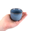 Colored Small Plant Succulent Pots