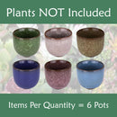 Colored Small Plant Succulent Pots
