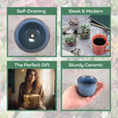 Colored Small Plant Succulent Pots