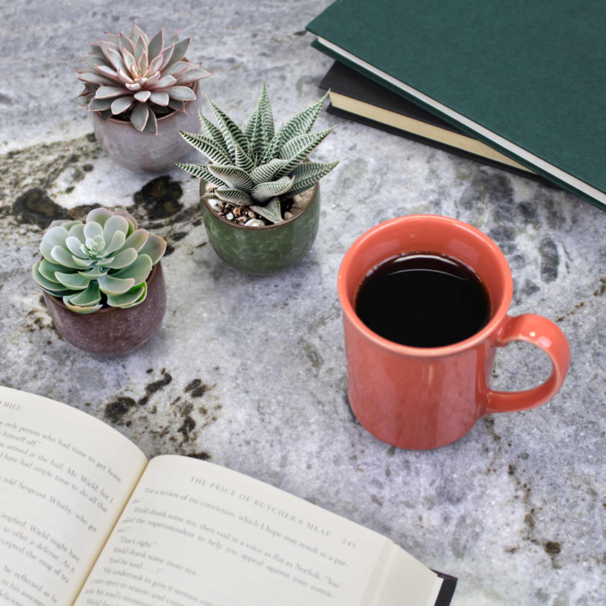 coffee and succulents Colored Small Plant Succulent Pots