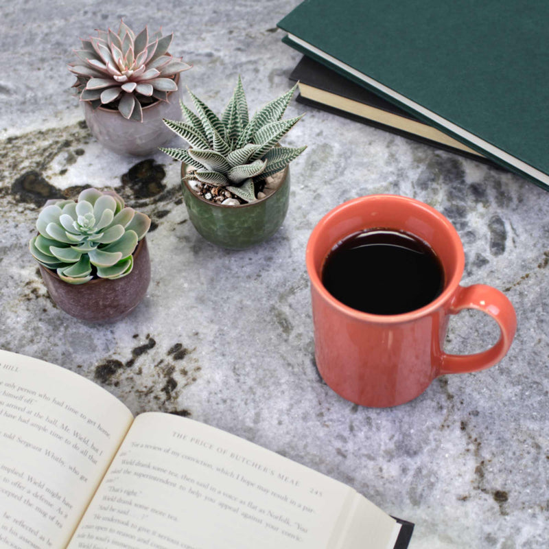 aesthetic succulent pots Colored Small Plant Succulent Pots
