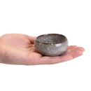 Ceramic Colored Small Plant and Succulent Pot Sets