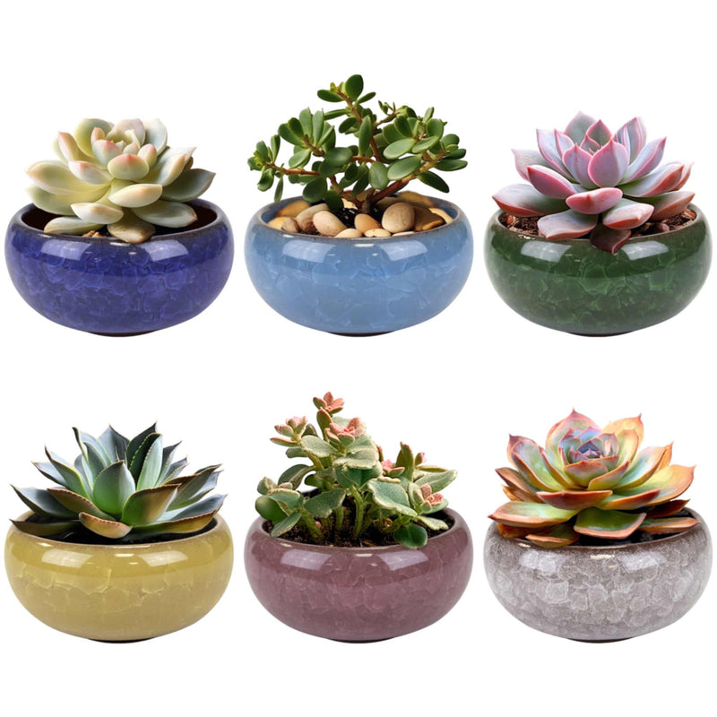 Ceramic Colored Small Plant and Succulent Pot Sets